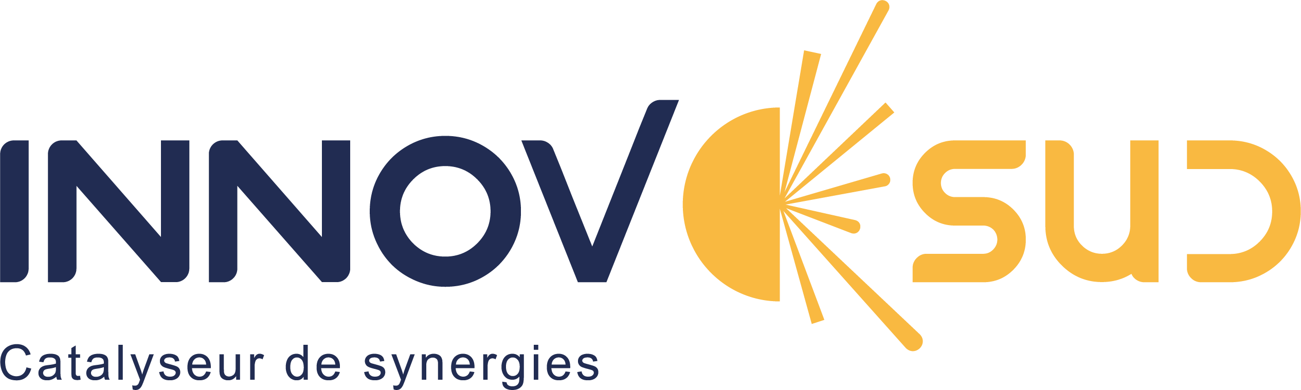 Logo 1